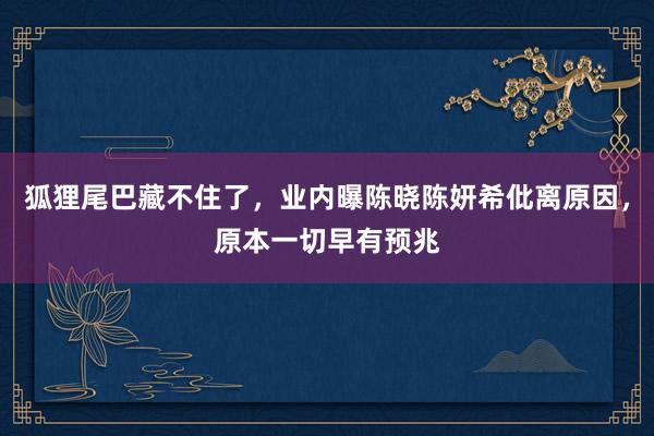 狐狸尾巴藏不住了，业内曝陈晓陈妍希仳离原因，原本一切早有预兆